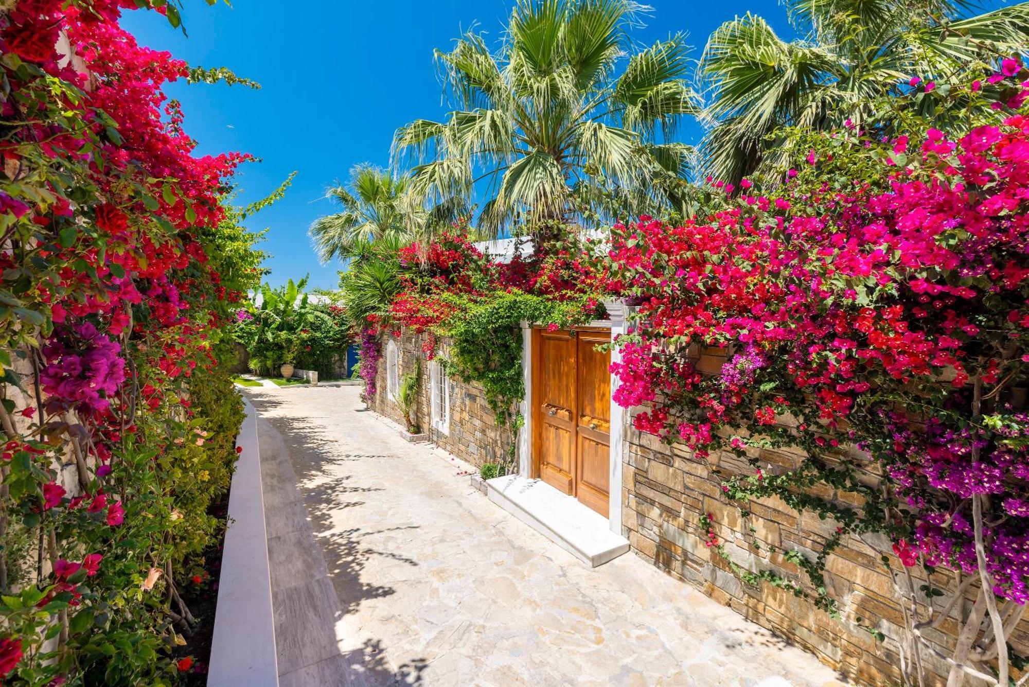 Porto Zante Villas And Spa Трагаки Екстериор снимка